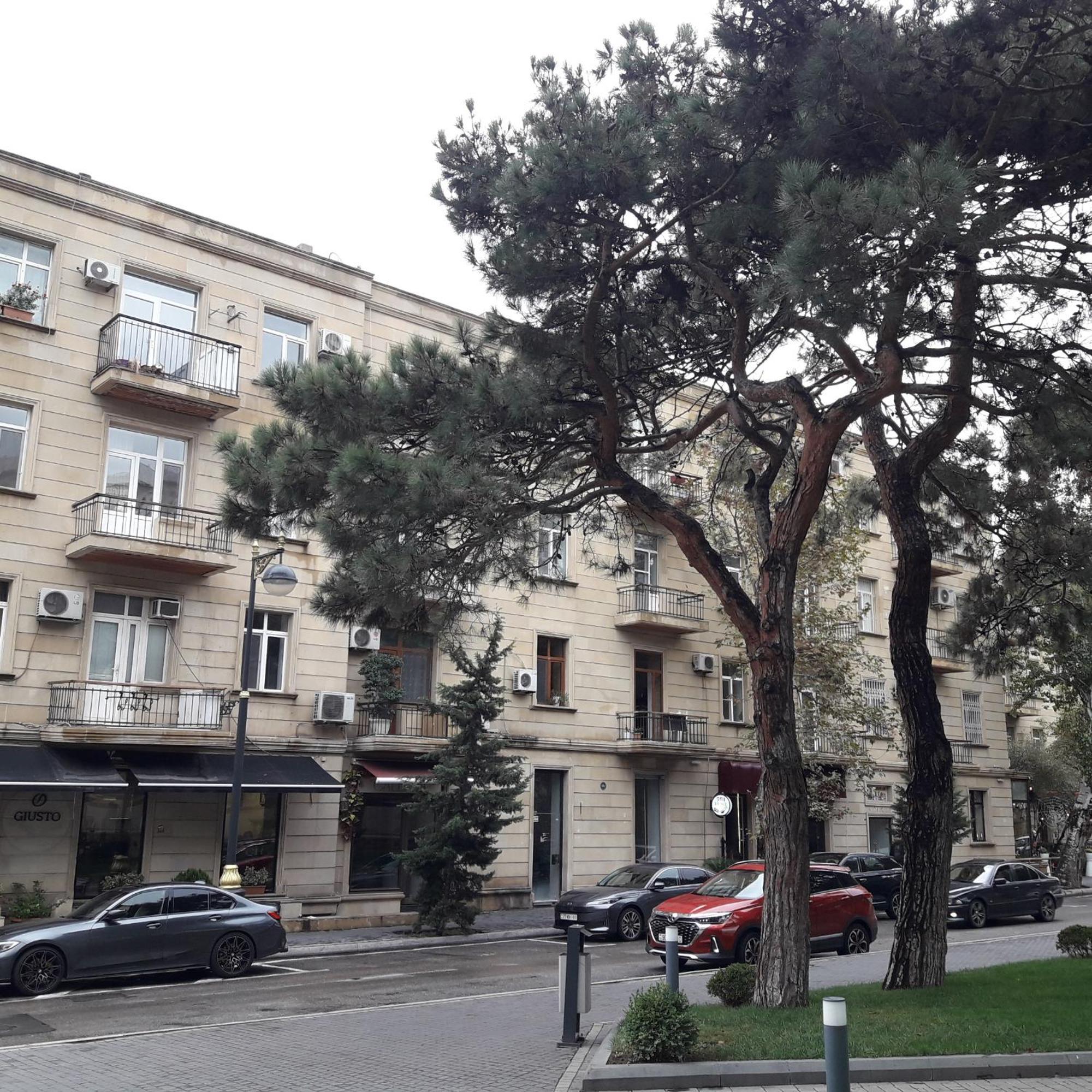 Apartment Niyazi 5 Баку Екстер'єр фото